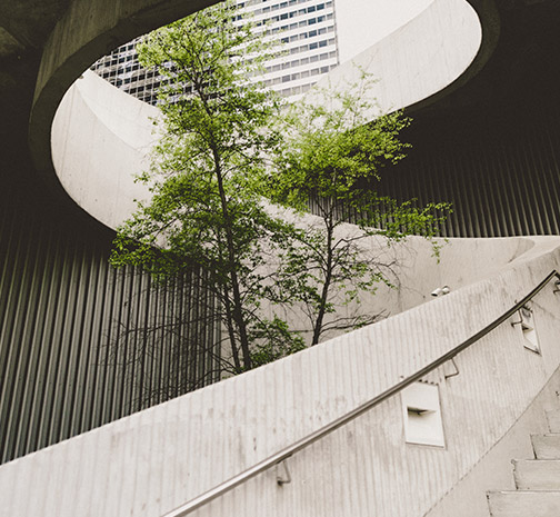 A winding outdoor staircase with a tree sitting in the middle.