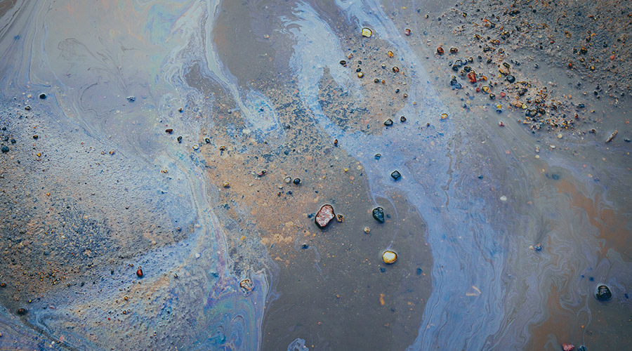 Image of a sandy beach contaminated with toxic water