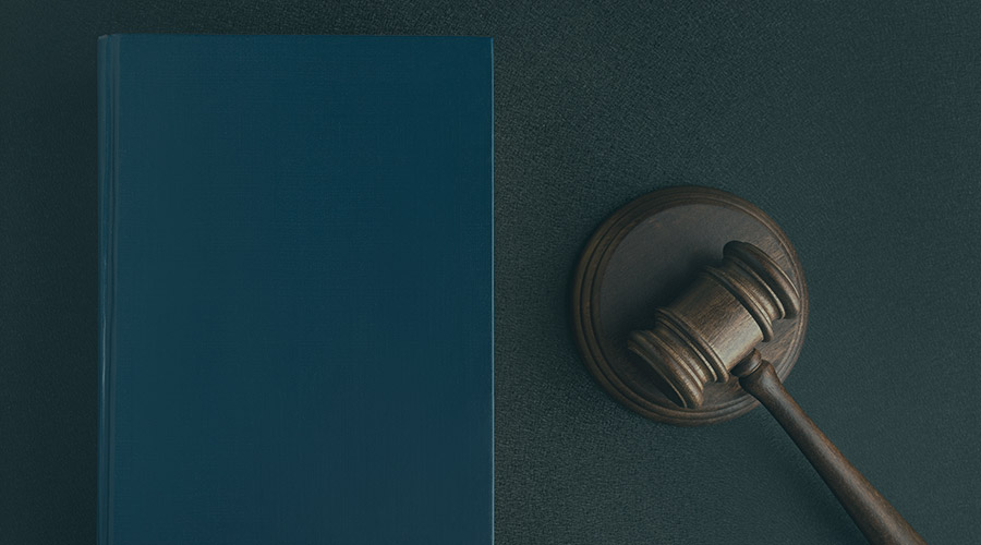 Image of a blue book and a wooden gavel