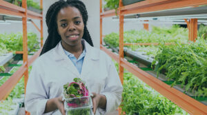 A woman dressed in a lab coat holds a plastic container full of vegetables in a greenhouse